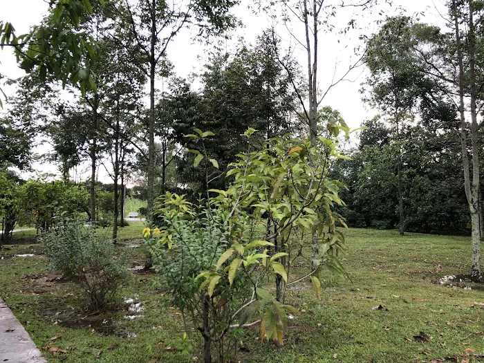 Taman Bukit Indah Mini Botanical Picture 3