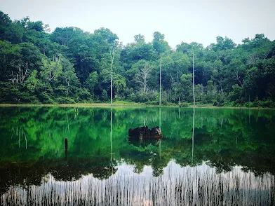 Tasik Hijau Bukit Ibam (Green Lake, Bukit Ibam) Picture 1