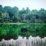 Tasik Hijau Bukit Ibam (Green Lake, Bukit Ibam)