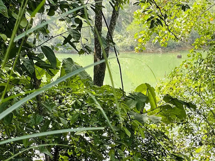 Tasik Hijau Bukit Ibam (Green Lake, Bukit Ibam) Picture 4