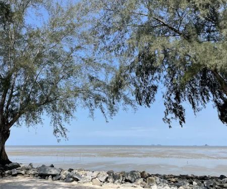 Pantai Remis