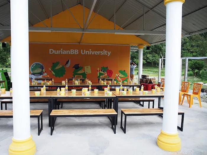 DurianBB University Picture 5