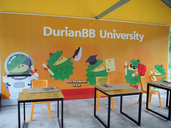DurianBB University Picture 3