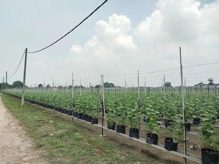 Bumi Suria Tech (TKPM fasa2) Picture 1