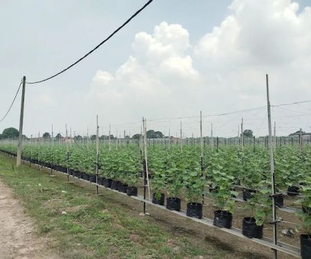 Bumi Suria Tech (TKPM fasa2)
