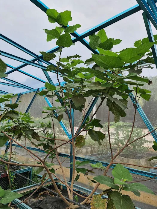 Kebun Setia Valley by Arabian Kitchen Picture 7