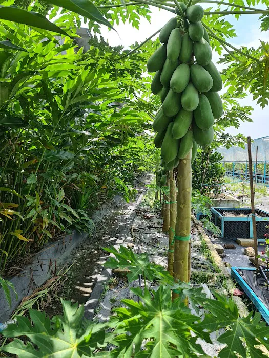 Kebun Setia Valley by Arabian Kitchen Picture 9