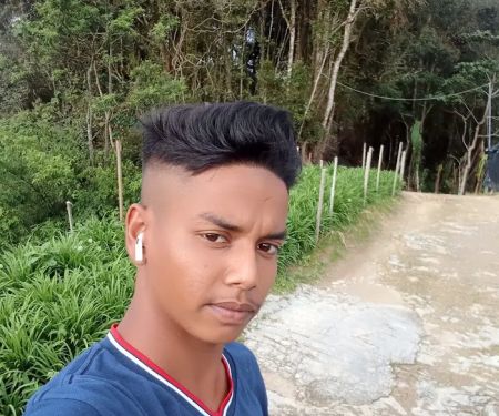 Kabin KRT Alpinia Basella