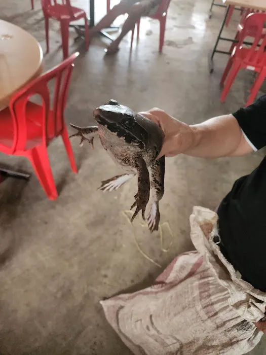 群英茶餐室 Chyun Ying Picture 9