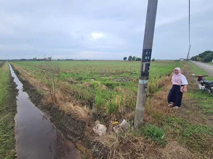 Lubok Mancing Picture 4