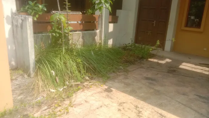 Potong Rumput Klang Meru. setia alam Picture 2
