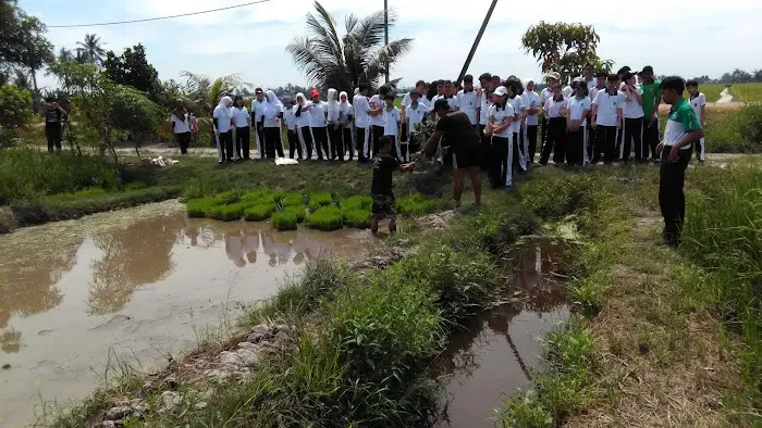 Agro Tourism Homestay Sg Sireh Picture 10