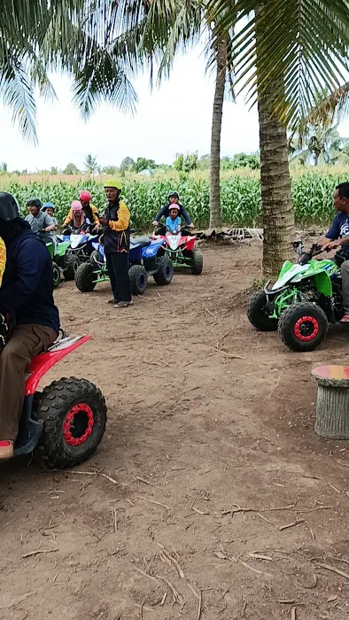 ATV COCONUT TRACK Picture 3
