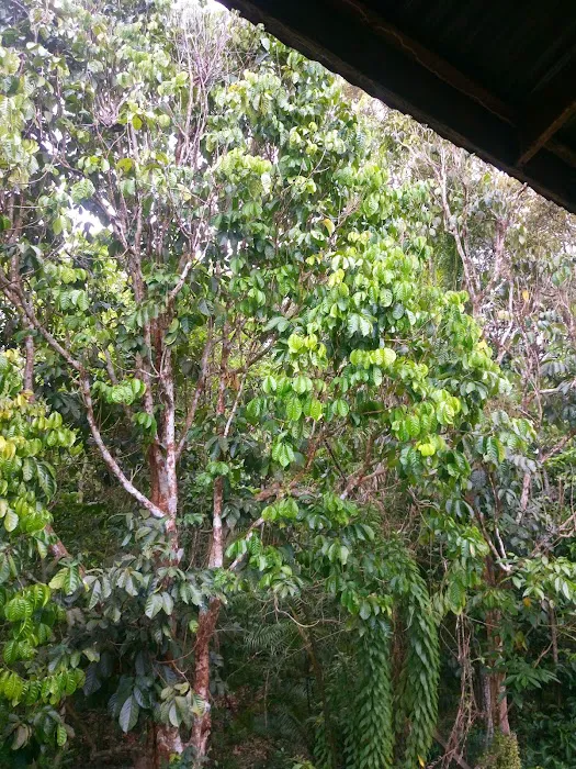Masjid Kampung Bukit Genting Picture 2