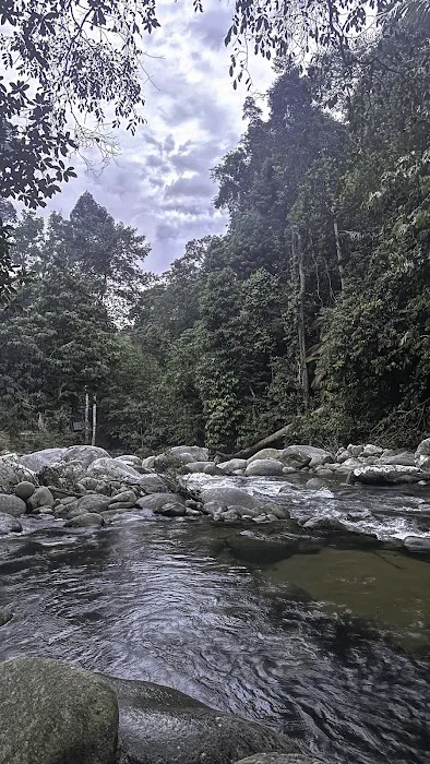 Laman Rindu Campsite Picture 6