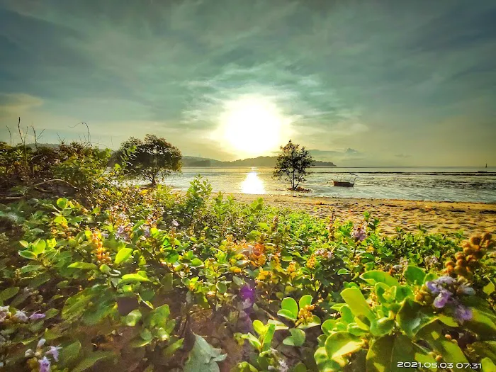 Tanjung lumpur Picture 4