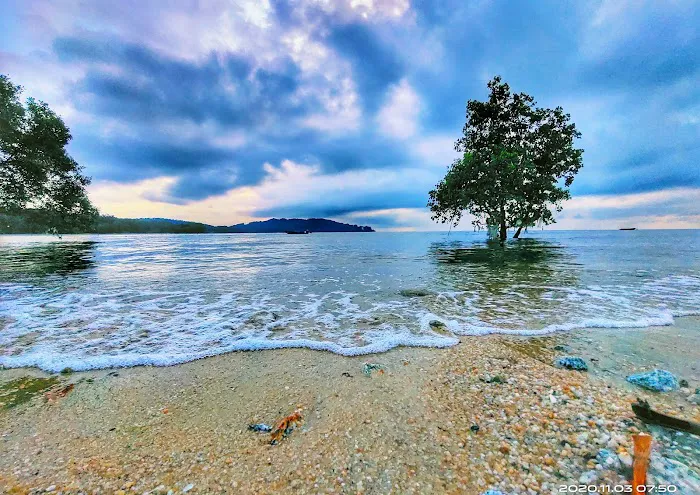 Tanjung lumpur Picture 7