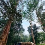 Dusun Staycation