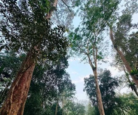 Dusun Staycation