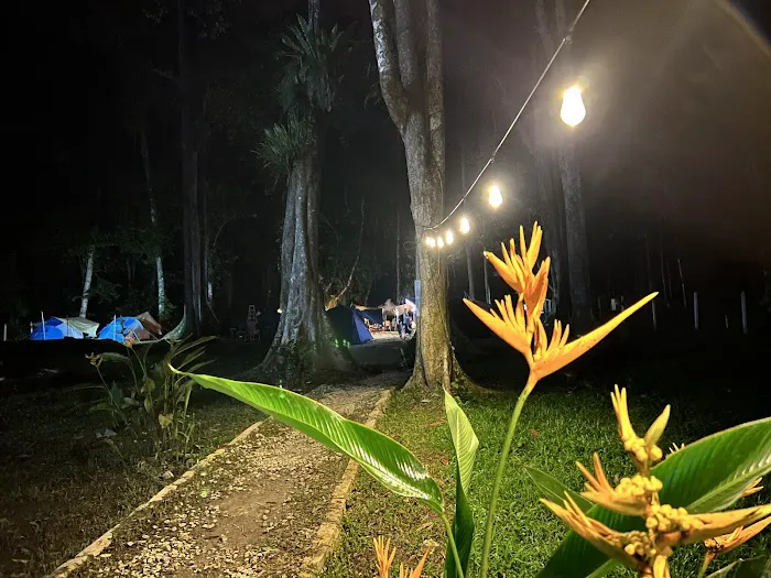 Dusun Staycation Picture 4