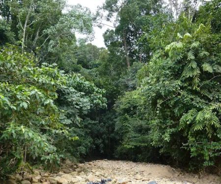 Trailhead Of Pelangi Trail