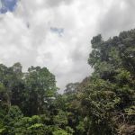 Sungai Bil Dam