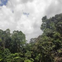 Sungai Bil Dam ico