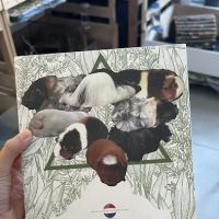 Mr Teddy Pet House ico