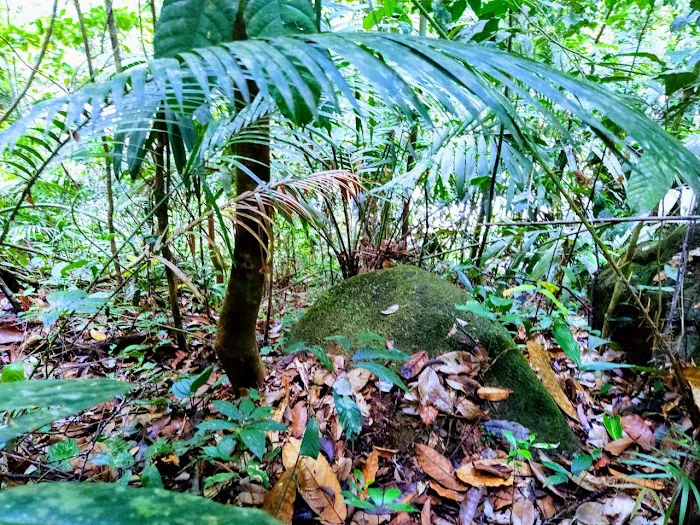 Sungai Bil Eco Retreat Picture 2