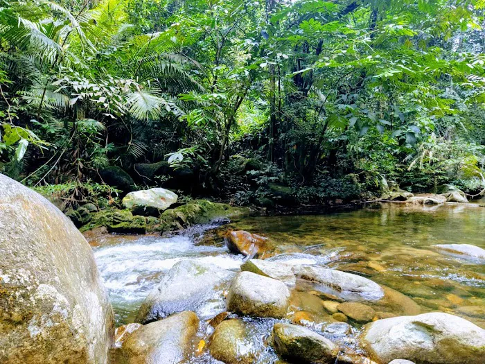 Sungai Bil Eco Retreat Picture 1