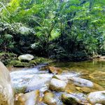 Sungai Bil Eco Retreat