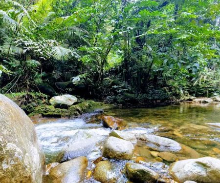 Sungai Bil Eco Retreat
