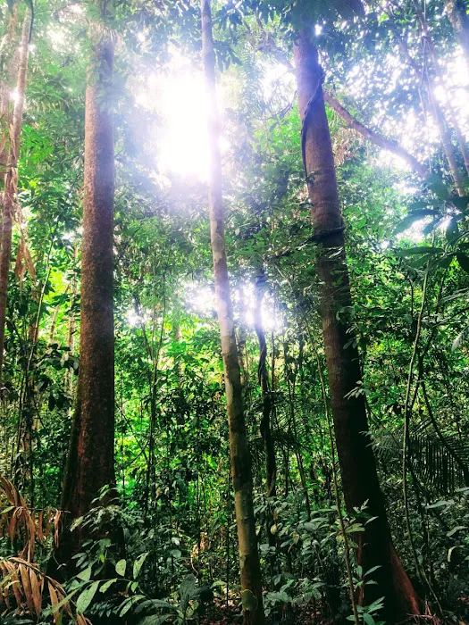 Sungai Bil Eco Retreat Picture 5