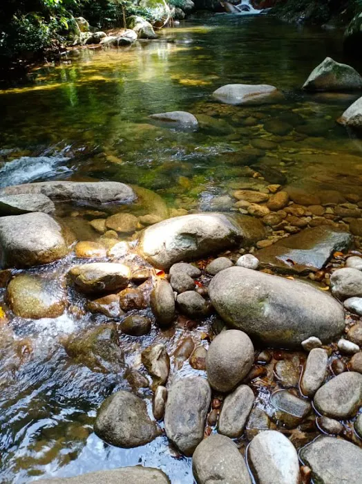 Sungai Bil Eco Retreat Picture 3