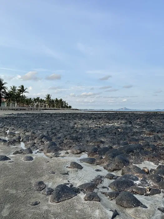 Pantai Batu Hitam Picture 8