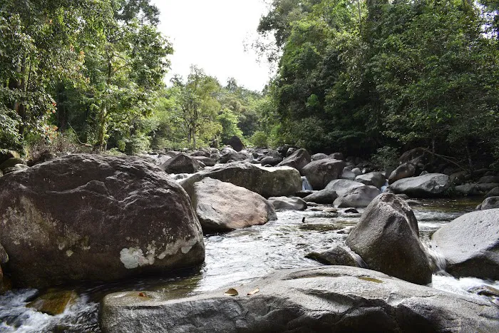Sungai Canai Picture 6