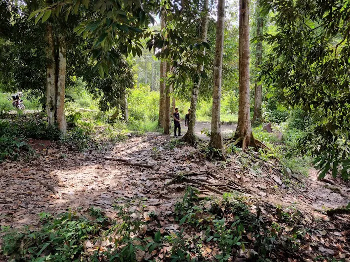 Sungai Canai Picture 5