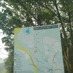 Bukit Lanjan Damansara Perdana Trailhead