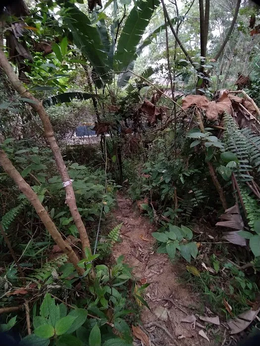 Bukit Lanjan Damansara Perdana Trailhead Picture 5