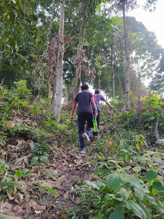 Bukit Lanjan Damansara Perdana Trailhead Picture 8