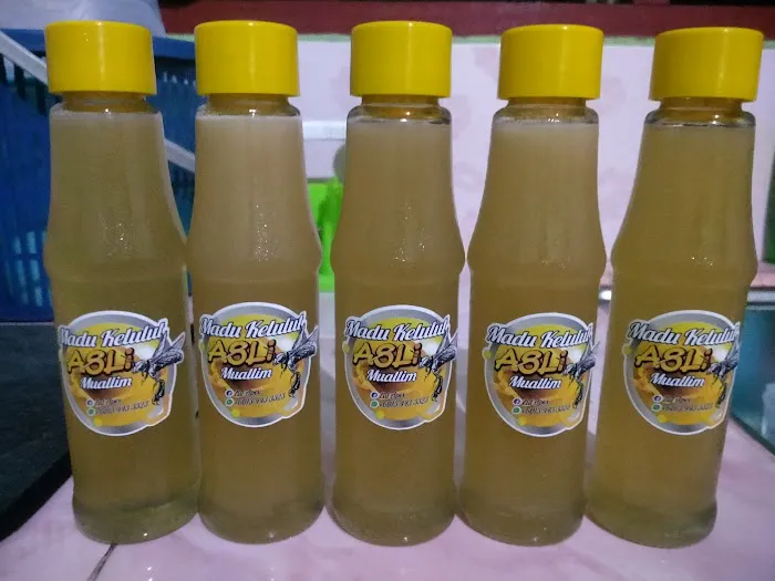 MADU KELULUT MUALLIM Picture 8