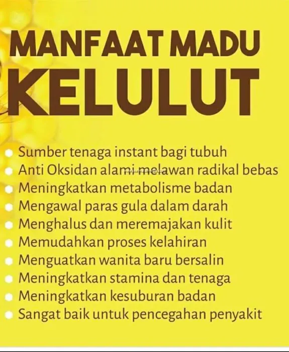 MADU KELULUT MUALLIM Picture 3