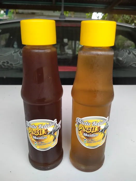 MADU KELULUT MUALLIM Picture 2
