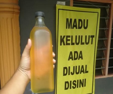 MADU KELULUT MUALLIM