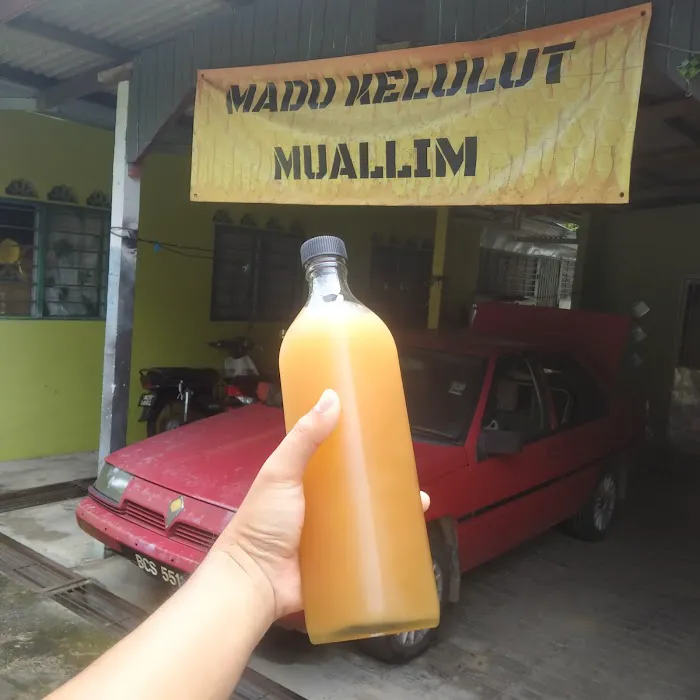 MADU KELULUT MUALLIM Picture 7