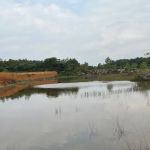 Cyberjaya Offroaders - C10 Sawit Trail IN