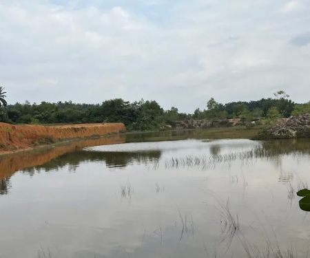 Cyberjaya Offroaders - C10 Sawit Trail IN