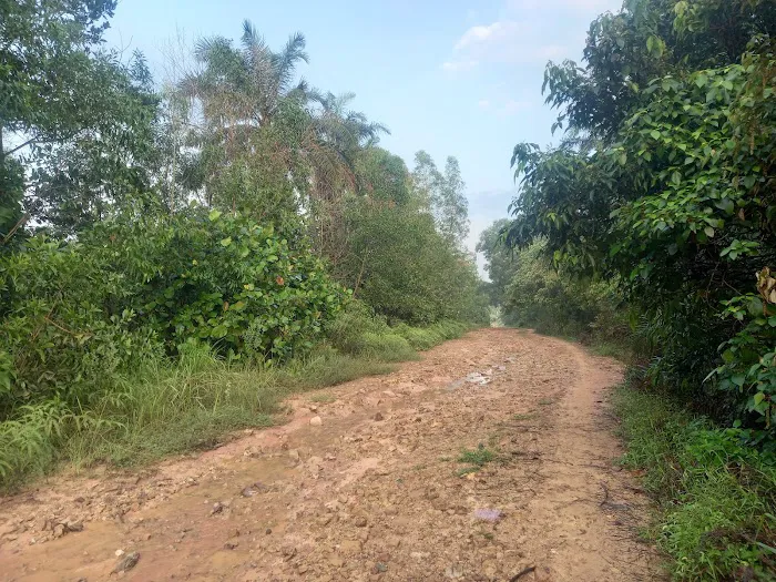 Cyberjaya Offroaders - C10 Sawit Trail IN Picture 5