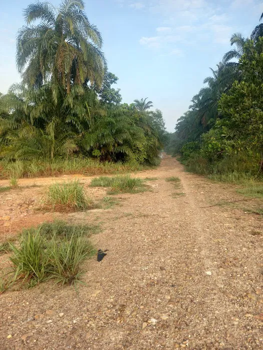 Cyberjaya Offroaders - C10 Sawit Trail IN Picture 7
