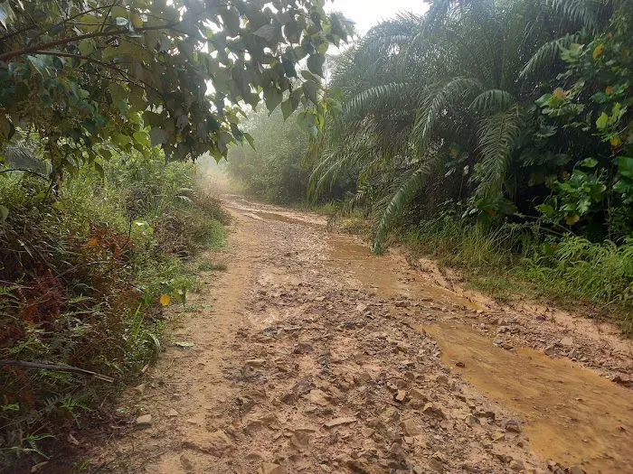 Cyberjaya Offroaders - C10 Sawit Trail IN Picture 6